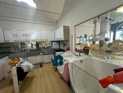 Primz Bizhub (D25), Factory #558234321